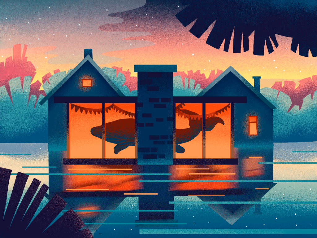 whale at home illustration