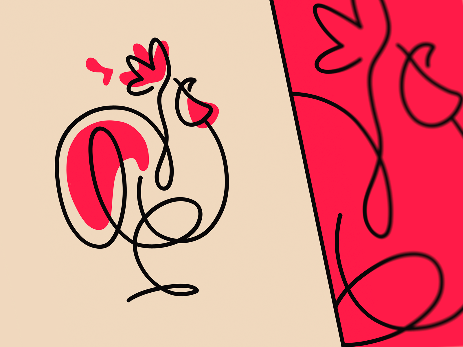 illustration art rooster