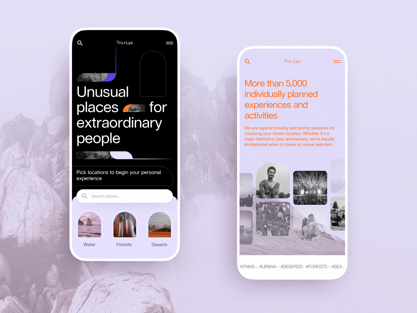 User Experience / Interface Design Case Study – Learn Adobe XD – UX/ UI  Animation – Web / Mobile, Soli Art