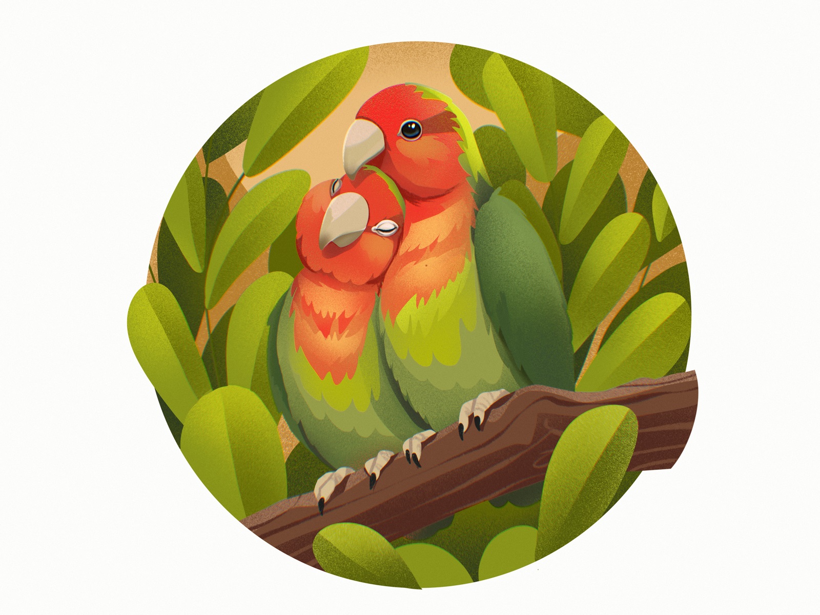 bright birds parrots tubikarts illustration