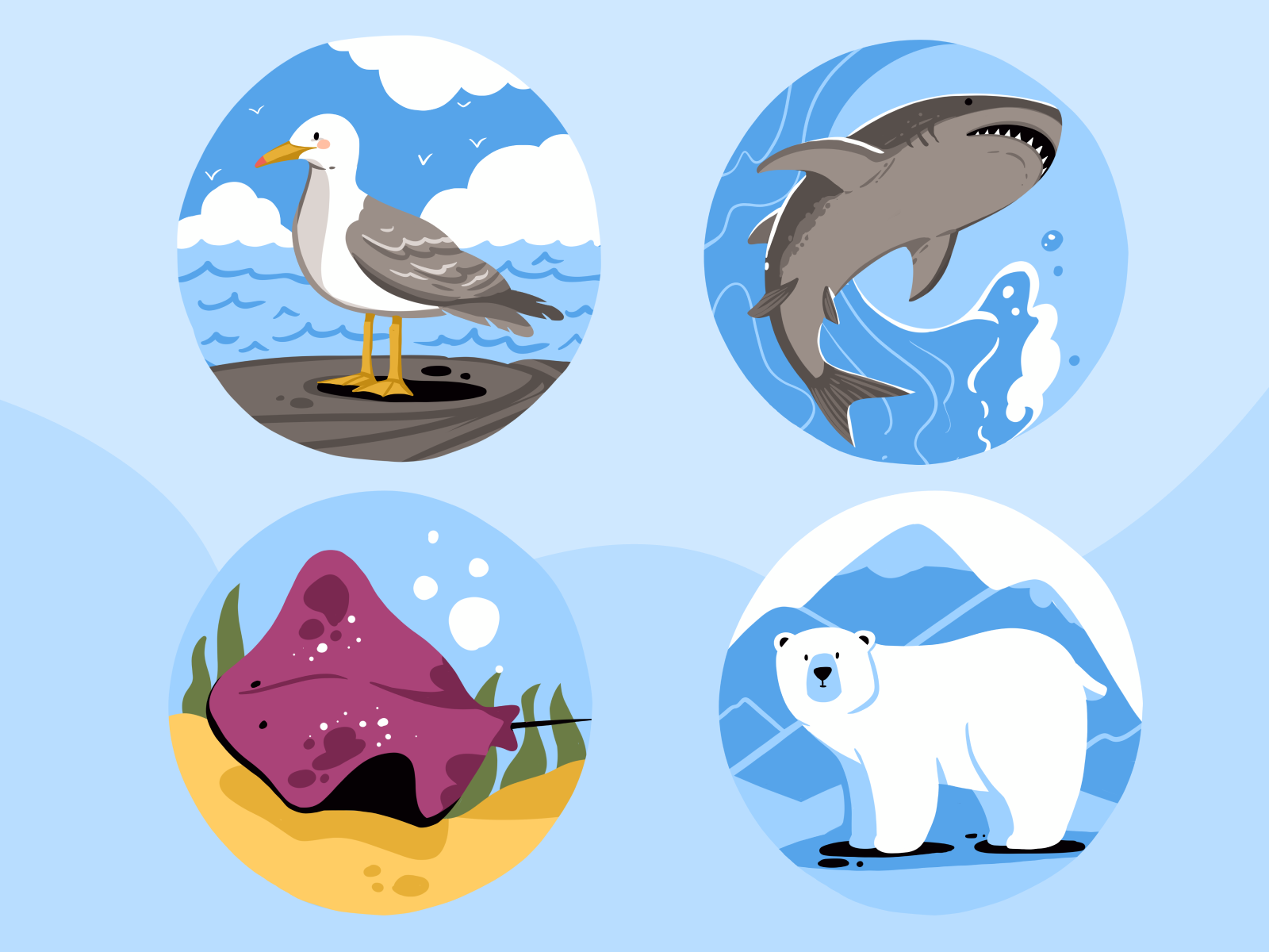 roebuck educational app illustrations animals tubikarts
