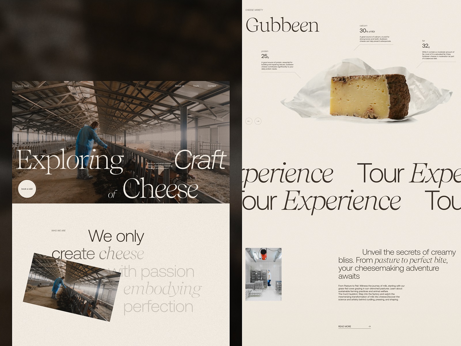 cheesemaker website design home page tubik