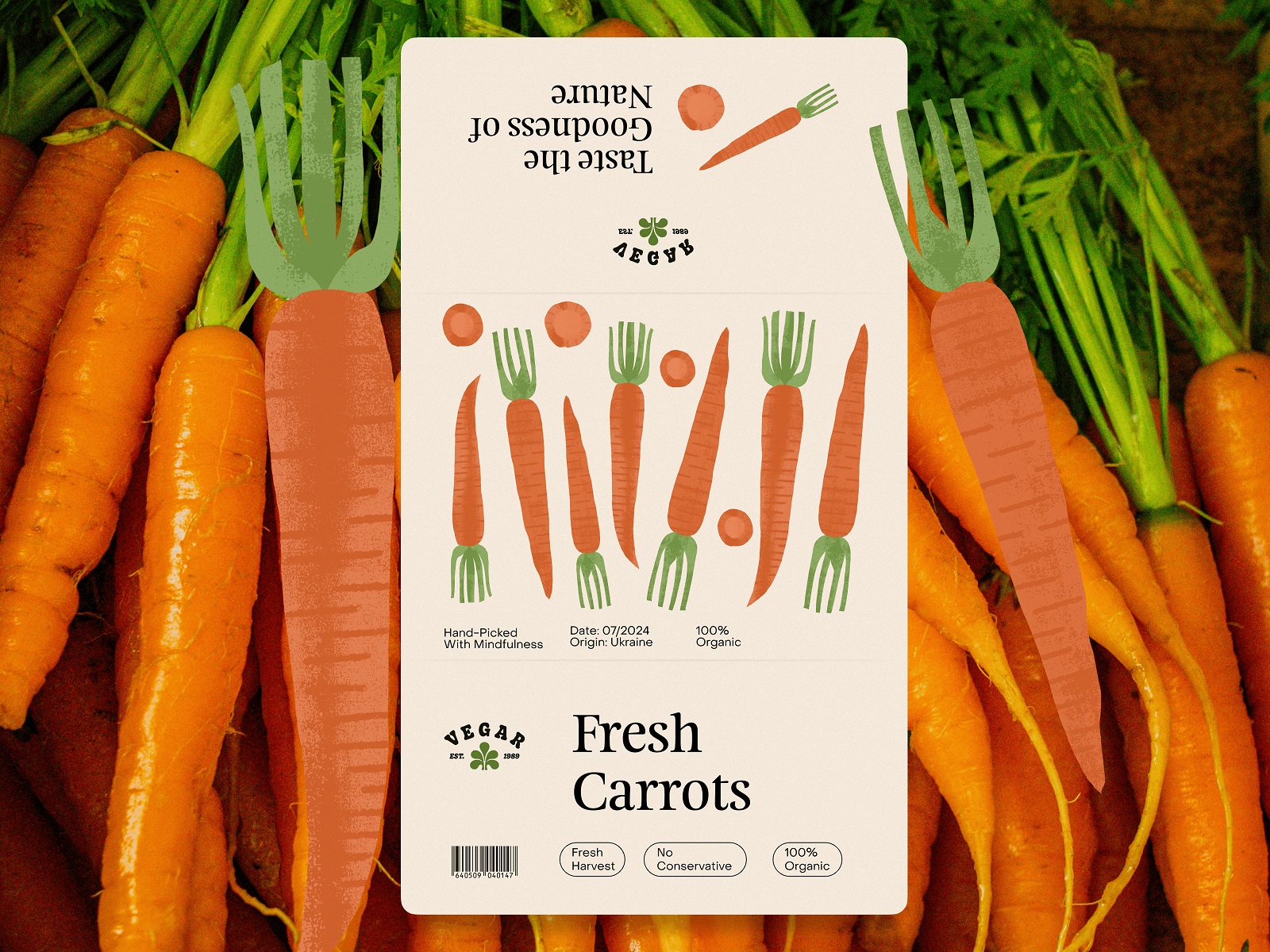 packaging label design carrots vegetable brand tubik arts