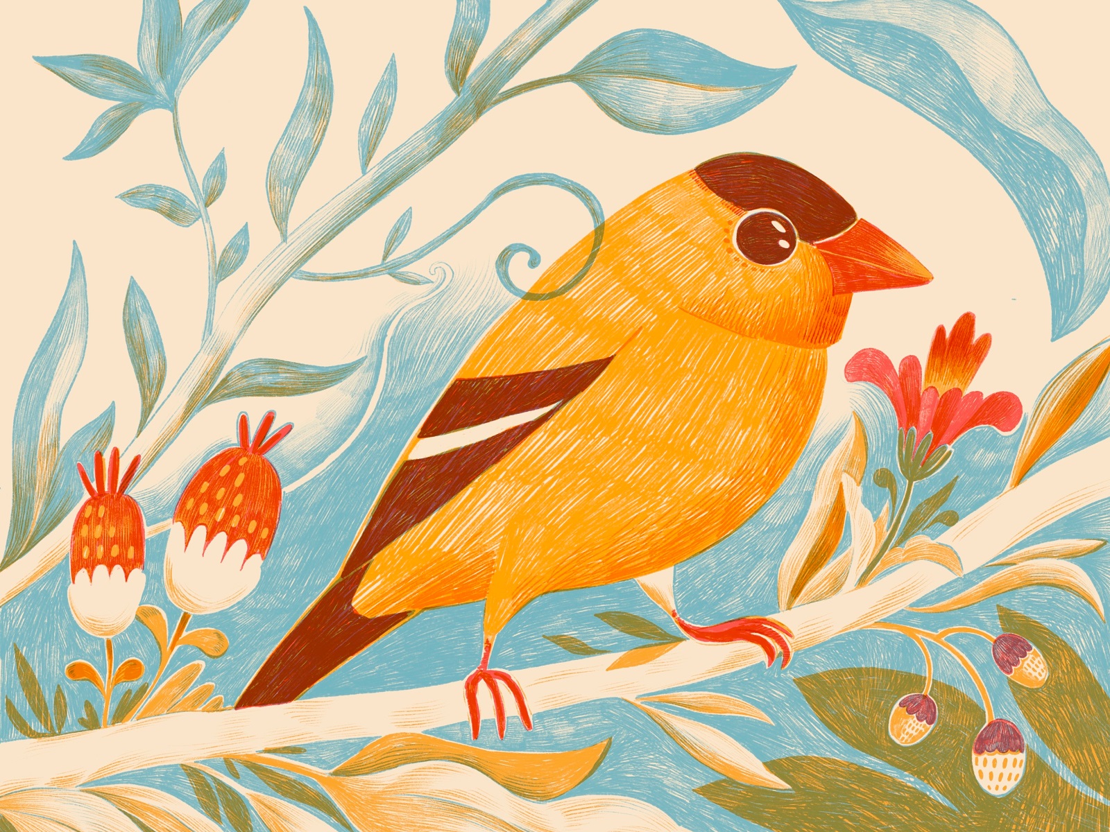 bird care brand art tubik illustrations