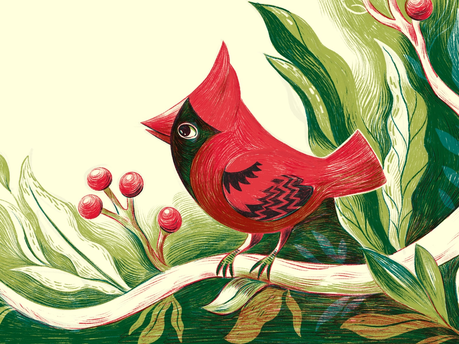 bird products brand illustrations tubik art